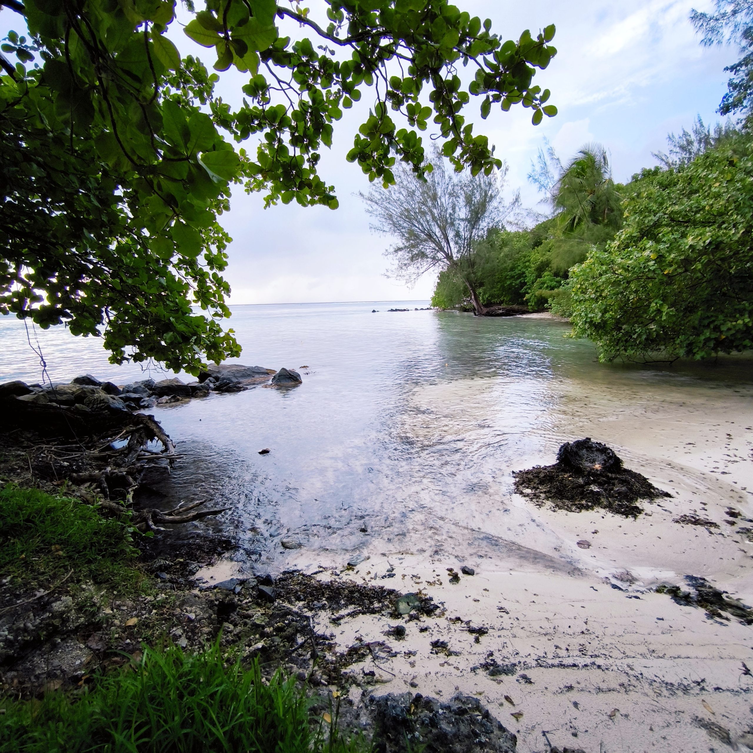 Lagon paisible à Huahine, bordé de verdure